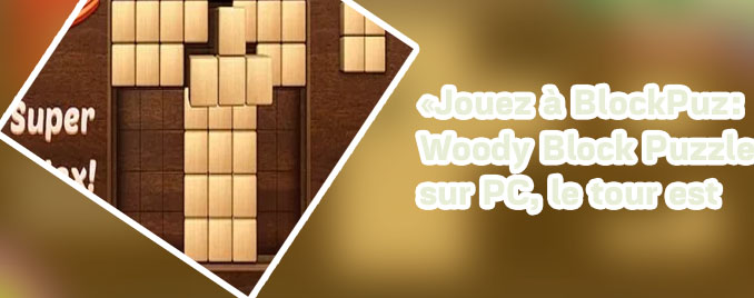 Jeu gratuit woody puzzle